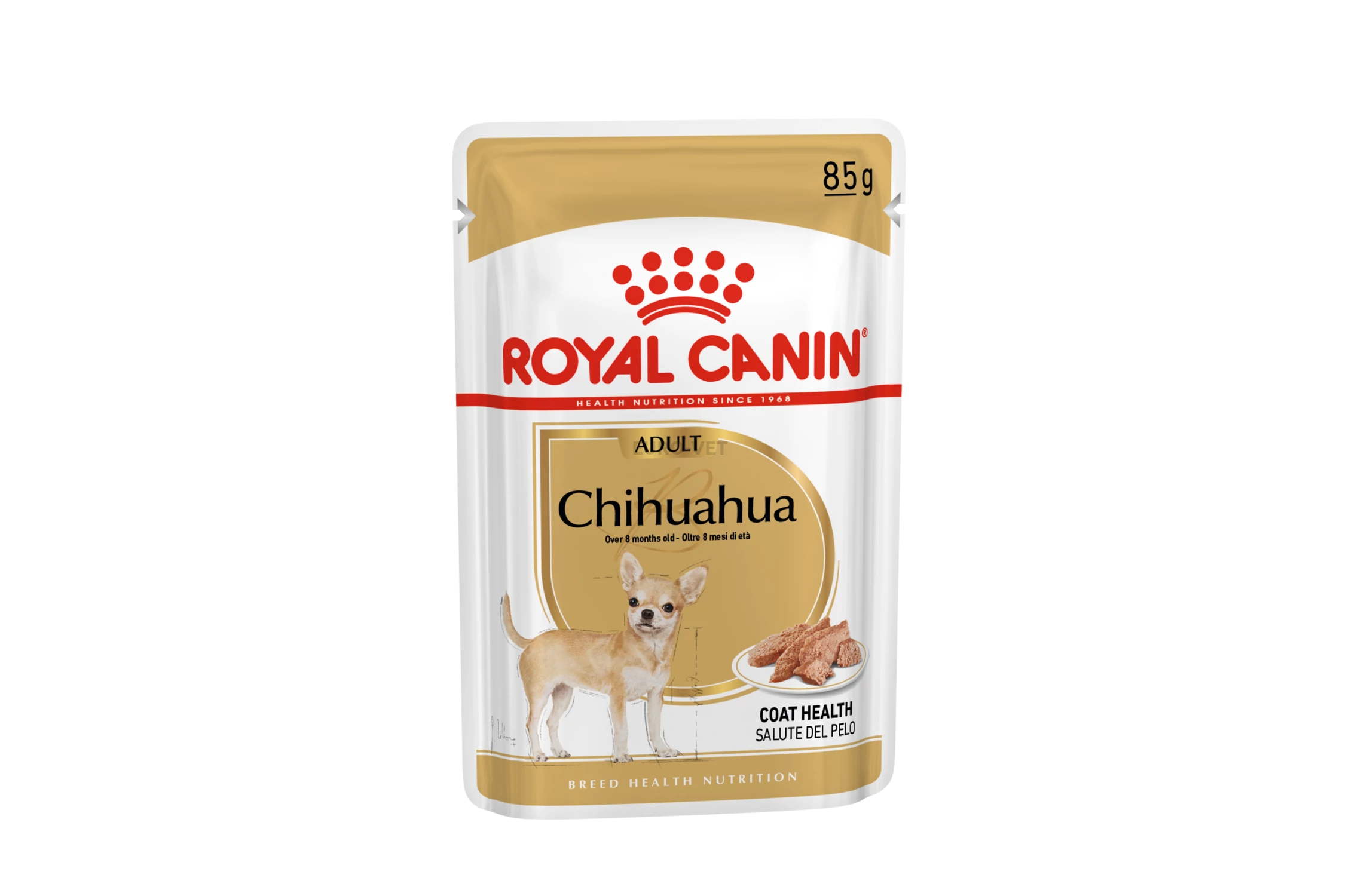 Chihuahua adult royal canin outlet